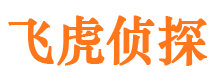 淄川婚外情调查